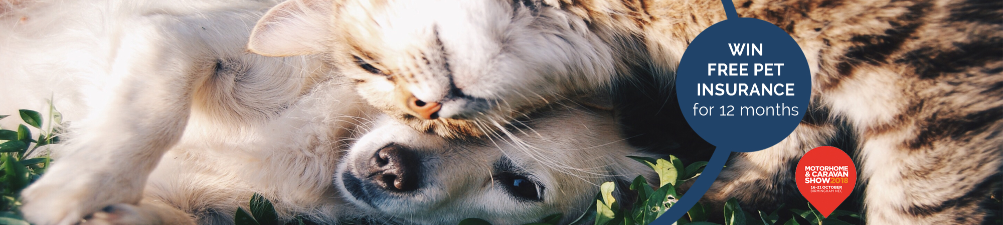 Pet Protect Header Image