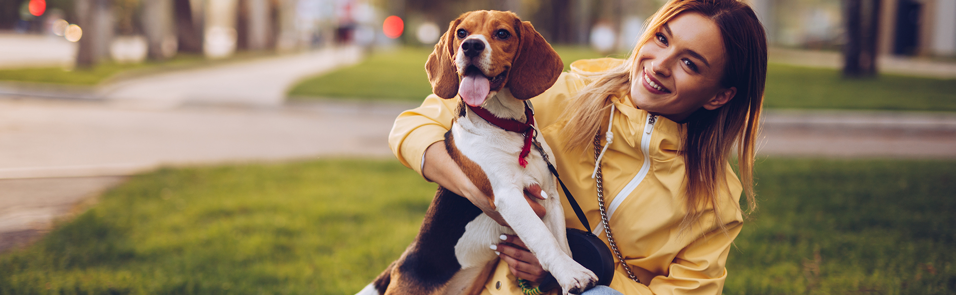 Pet Insurance for your dog and cat Pet Protect