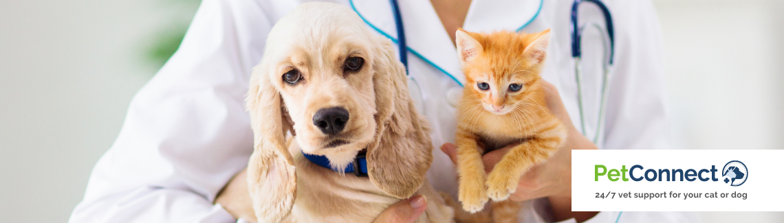 Pet Protect Header Image