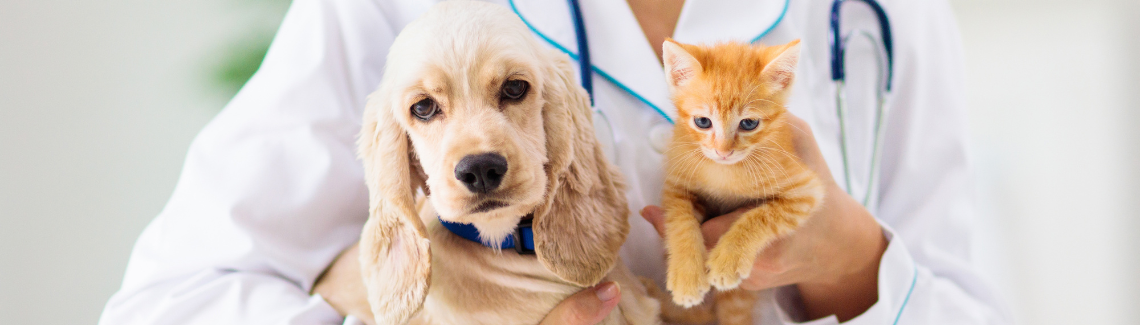 Pet Protect Header Image