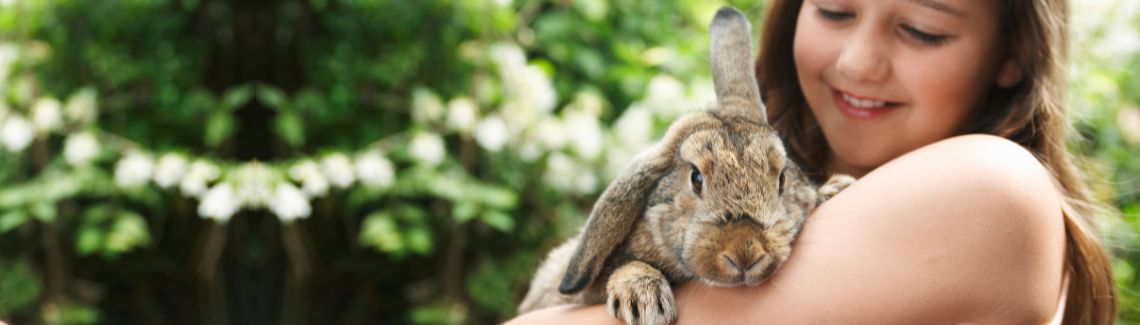 Pet Protect Header Image