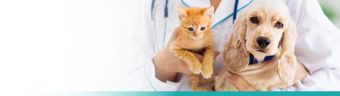 Pet Protect Header Image